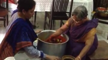 रक्षा मंत्री निर्मला सीतारमण का वीडियो हुआ वायरल, 2013 में पति ने किया था शेयर